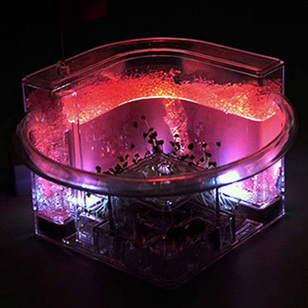 El mejor precio hormiguero