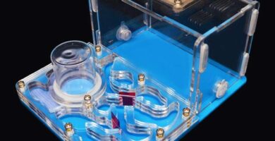 HORMIGUERO ACRÍLICO PEQUEÑO