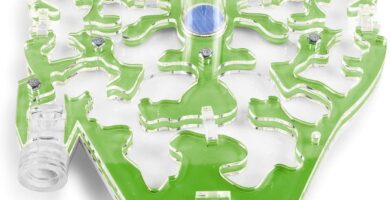 Hormiguero verde niños