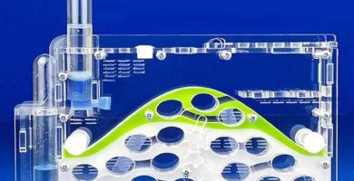 Hormiguero Hormiguero acrílico económico castillo niños