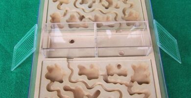 Hormiguero yeso para niños