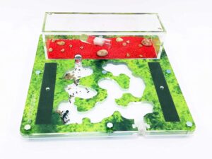 Mejor hormiguero económico calidad