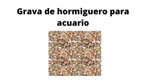 grava de hormiguero para acuario